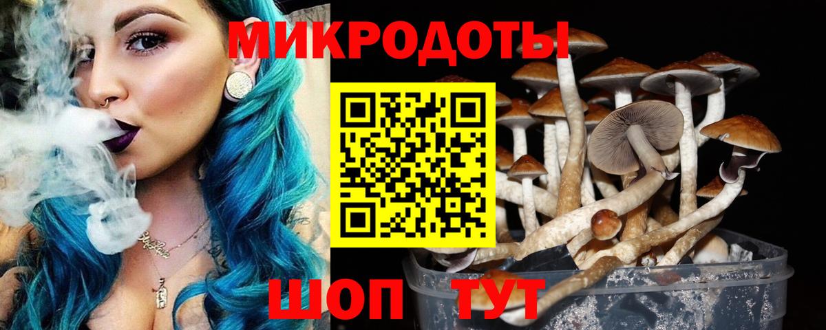 Галлюциногенные грибы прущие грибы  Галлюциногенные грибы мицелий  Саянск  Вход с VPN 